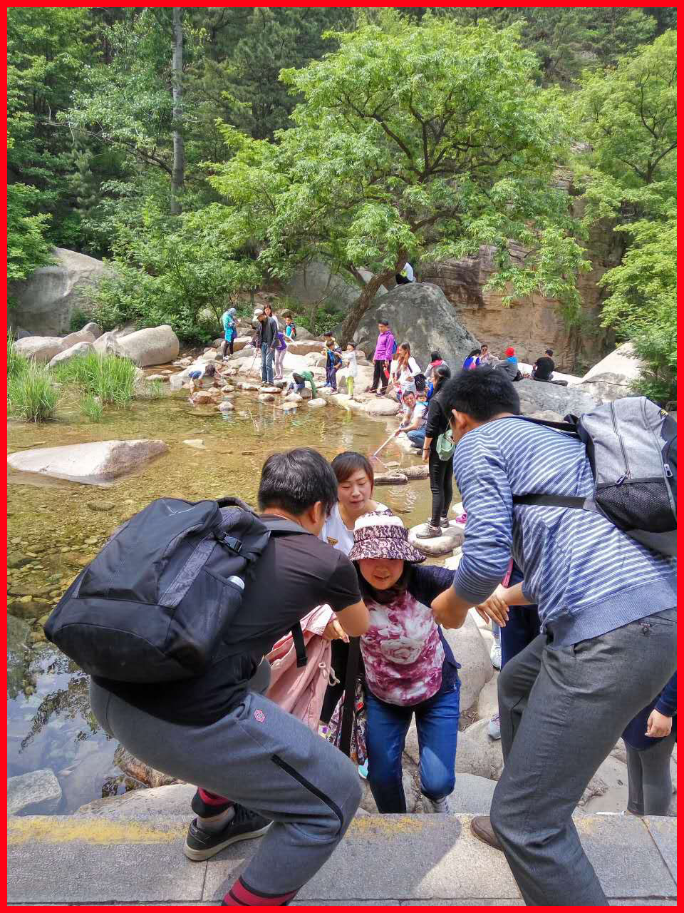 383954525102682923 14640540647067.jpg